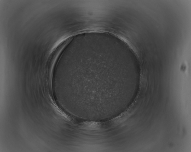 X0000091671450200708231318