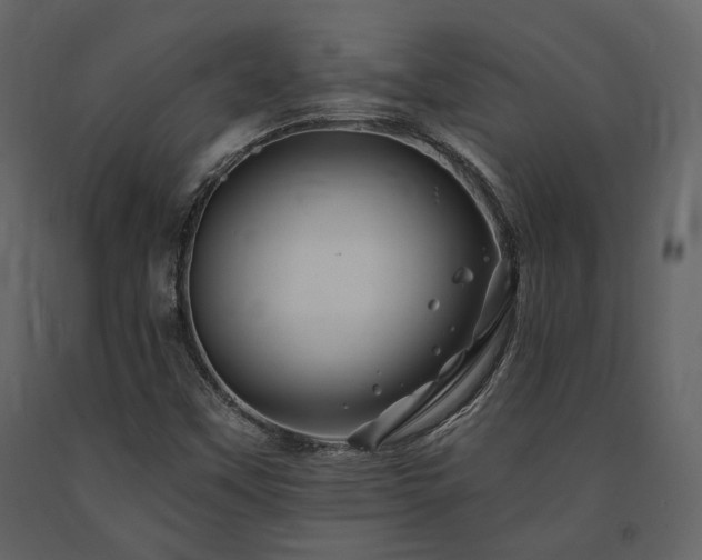 X0000091671451200708231318