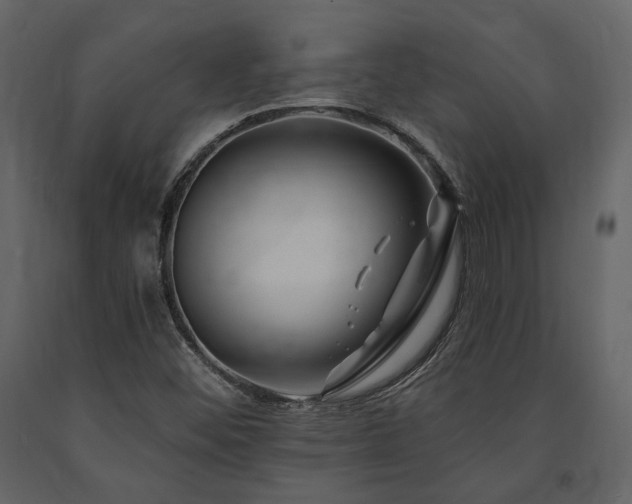 X0000091671452200708231318