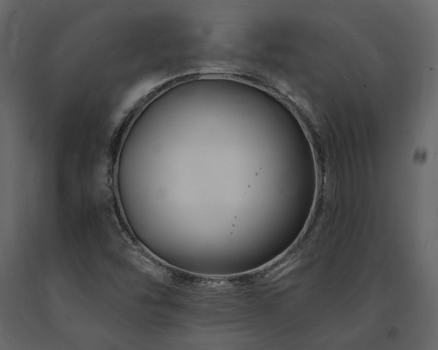 X0000091671454200708231318