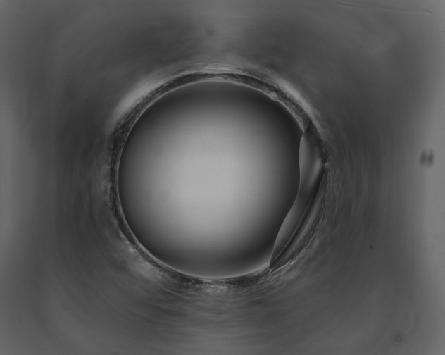 X0000091671456200708231318