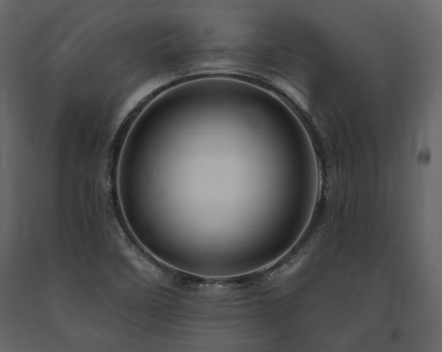 X0000091671458200708231318