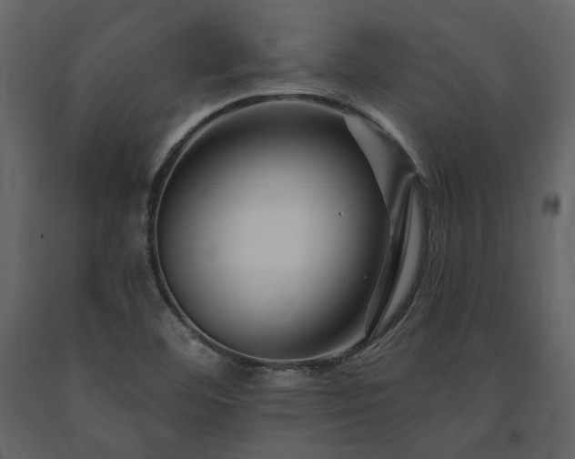 X0000091671460200708231318