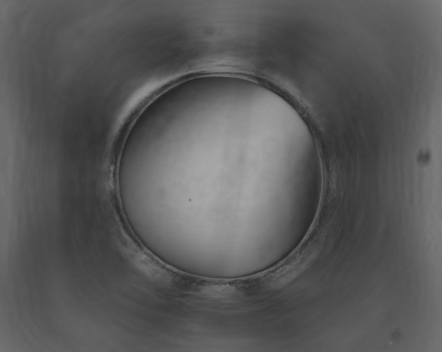 X0000091671462200708231318