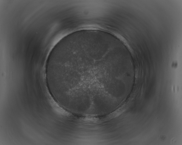 X0000091671466200708231318