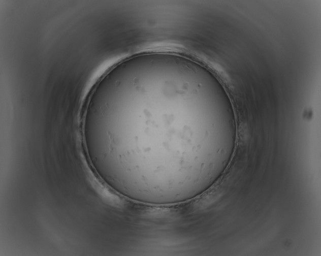 X0000091671470200708231318