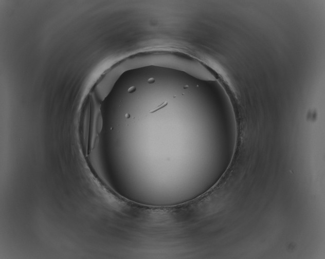 X0000091671472200708231318
