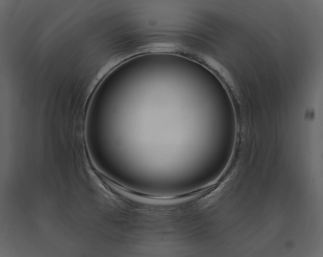 X0000091671473200708231318