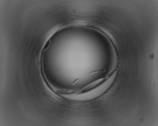 X0000091671475200708231318