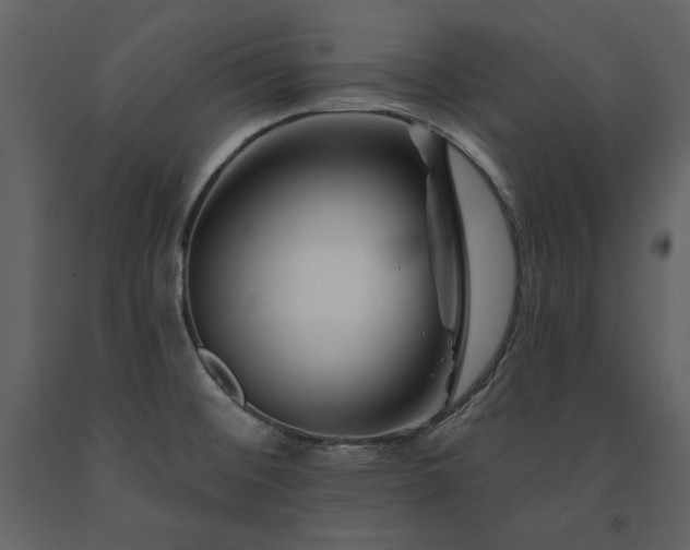 X0000091671476200708231318