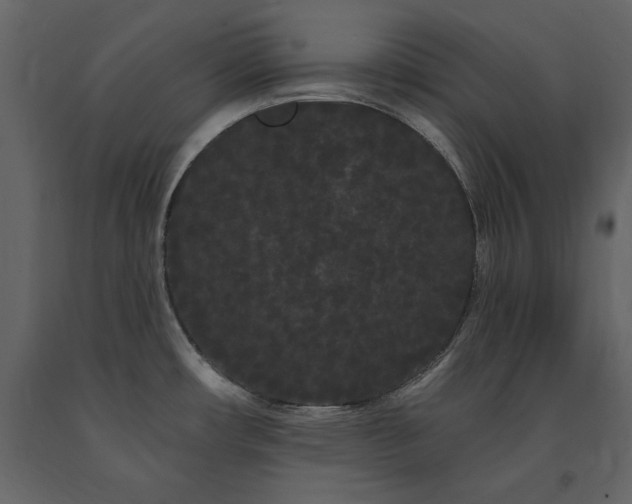 X0000091671482200708231318