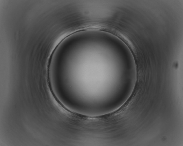 X0000091671483200708231318