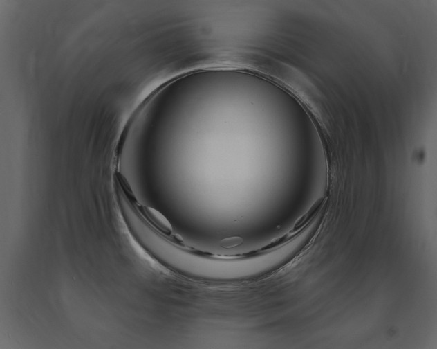 X0000091671484200708231318