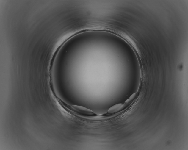X0000091671485200708231318