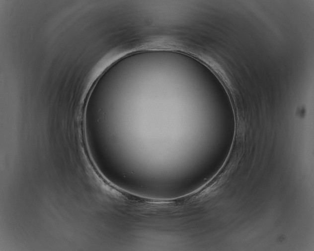 X0000091671486200708231318