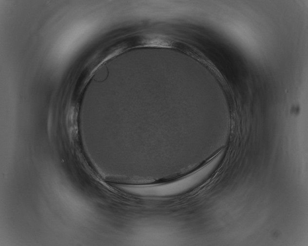 X0000091671487200708231318