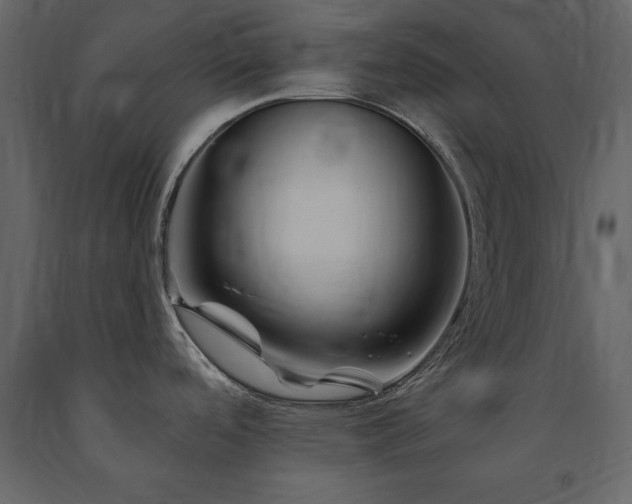 X0000091671488200708231317