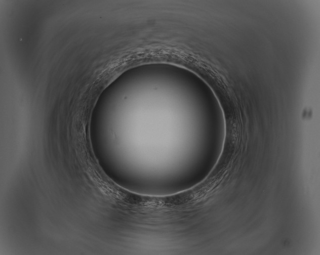 X0000091671489200708231317