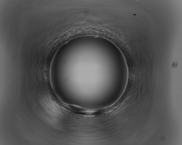 X0000091671490200708231317