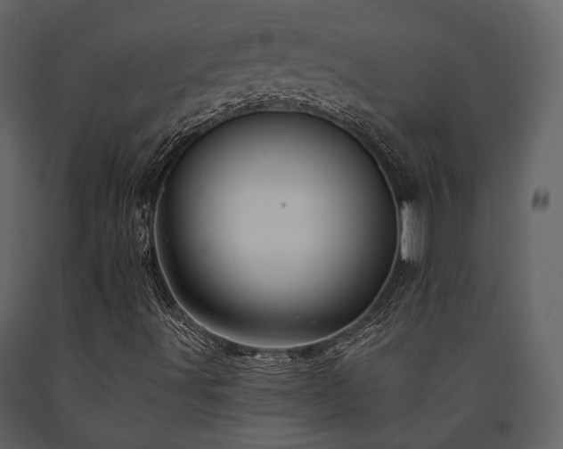 X0000091671491200708231317