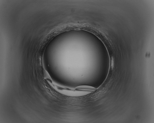 X0000091671492200708231317