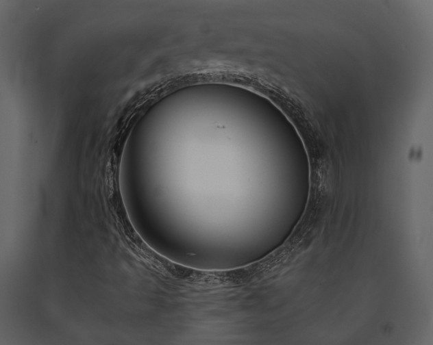 X0000091671493200708231317