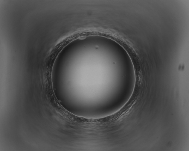 X0000091671494200708231317