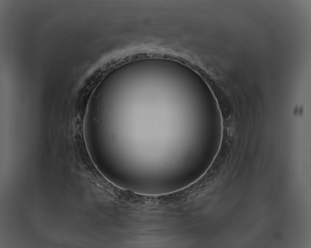 X0000091671495200708231317