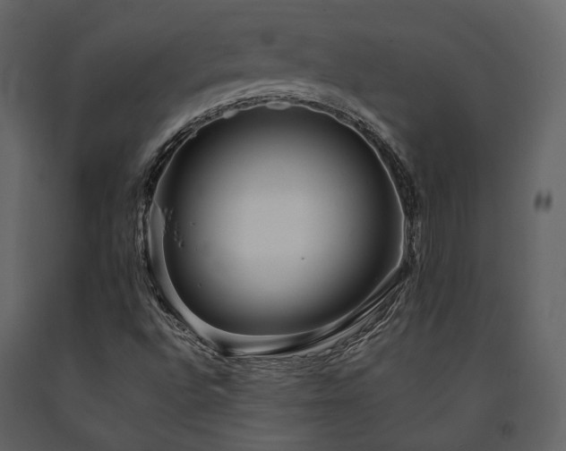 X0000091671496200708231317