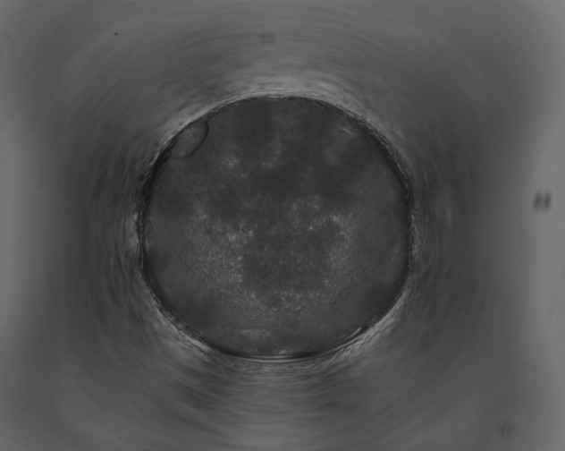 X0000091671497200708231317