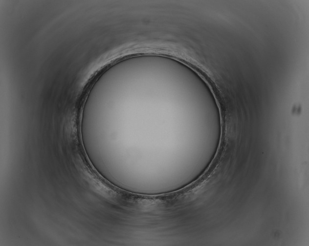 X0000091671498200708231317