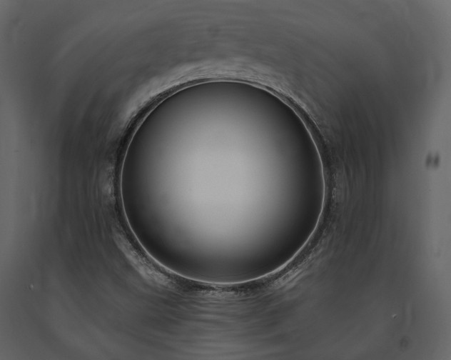 X0000091671499200708231317