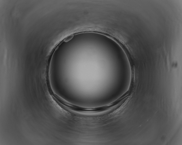 X0000091671500200708231317