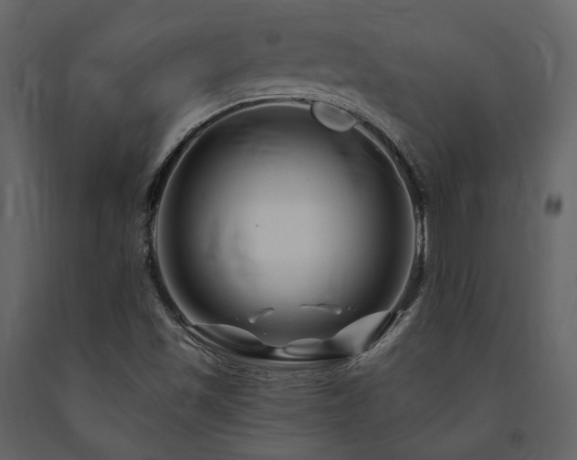 X0000091671501200708231317