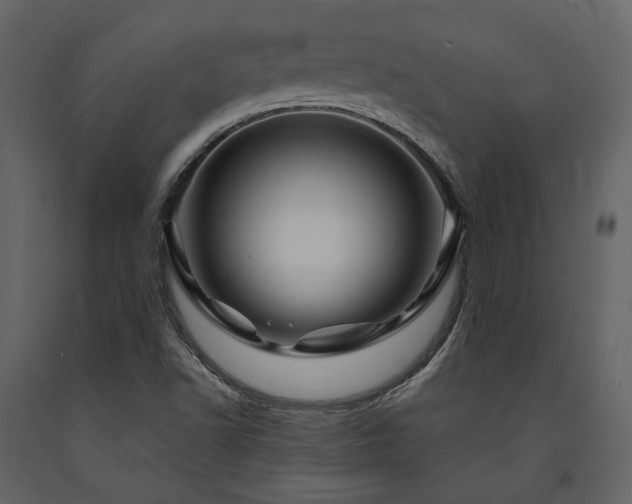 X0000091671502200708231317