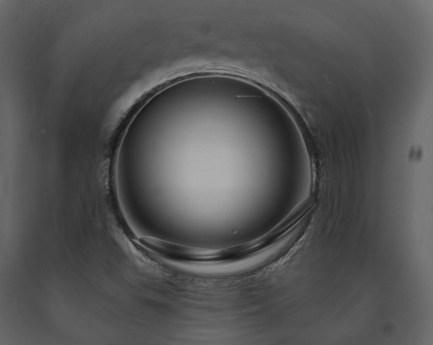 X0000091671503200708231317