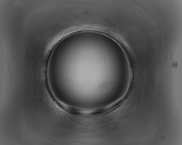 X0000091671504200708231317