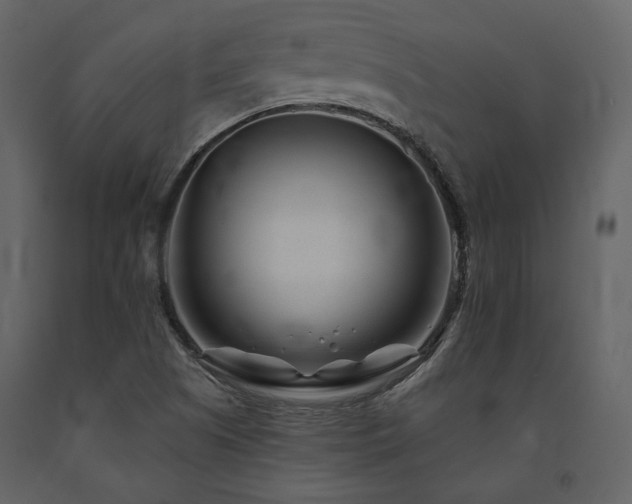 X0000091671505200708231317