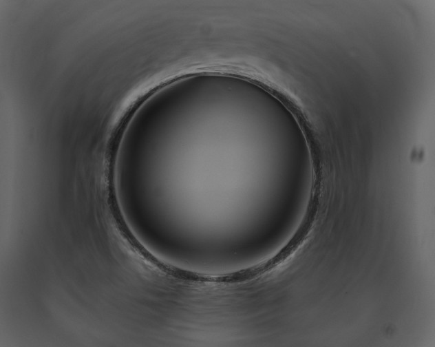 X0000091671506200708231317