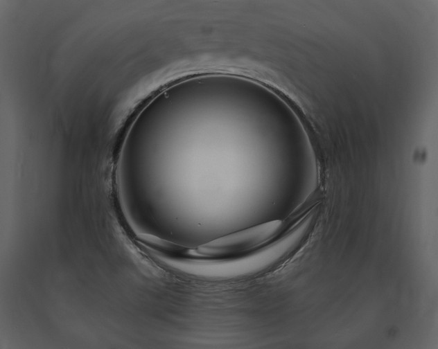 X0000091671507200708231317