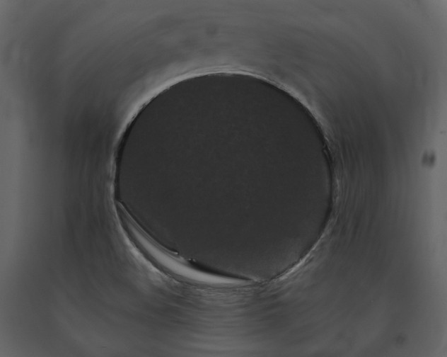 X0000091671508200708231317
