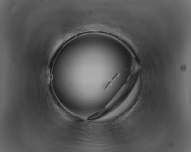 X0000091671509200708231317