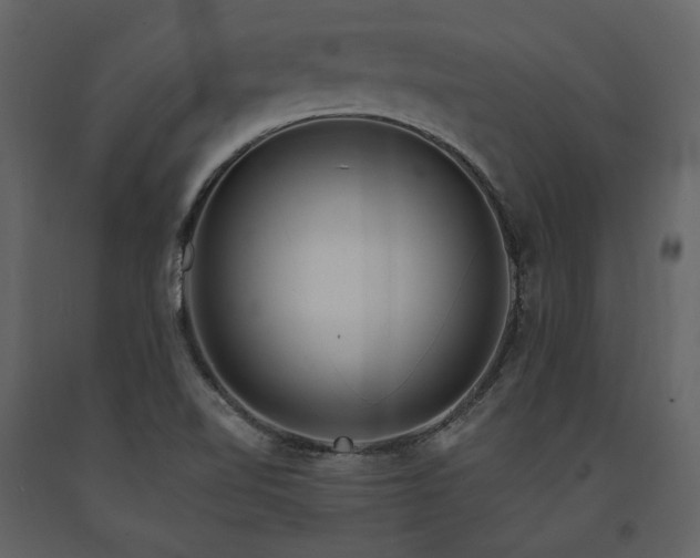 X0000091671510200708231317