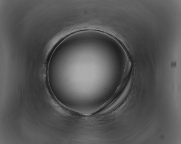 X0000091671511200708231317