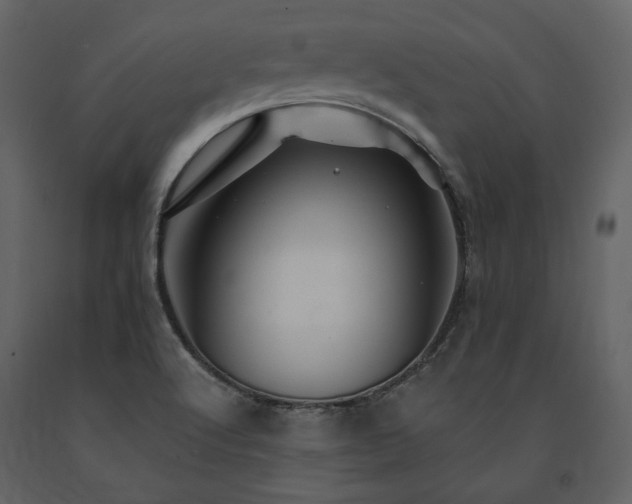 X0000091671512200708231317