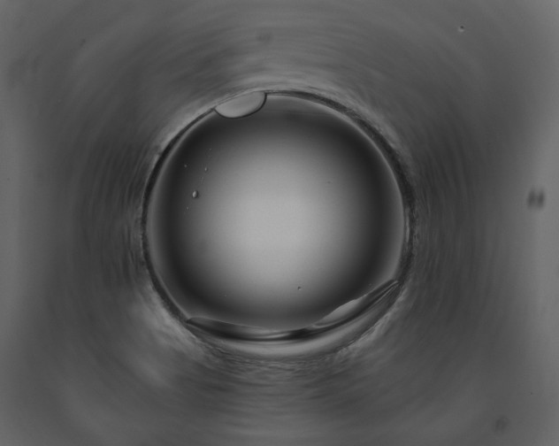X0000091671513200708231317