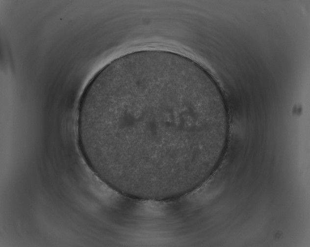 X0000091671514200708231317