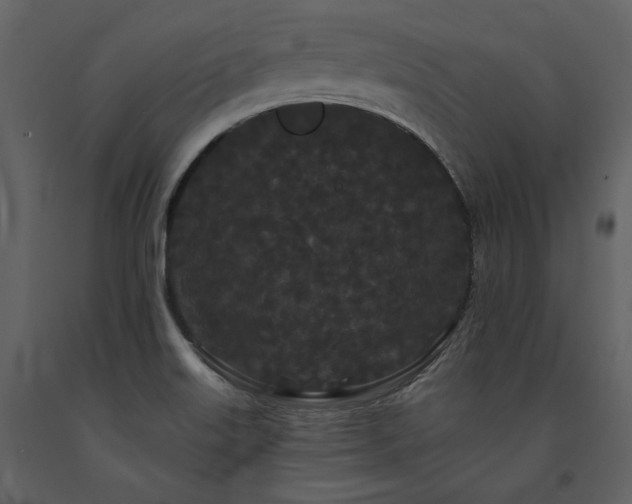 X0000091671515200708231317