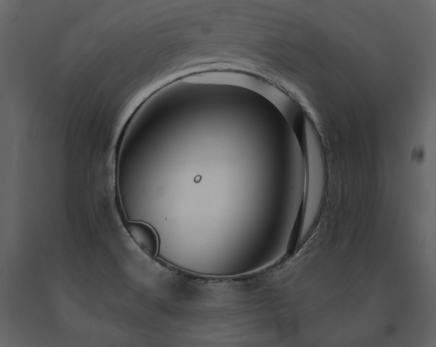 X0000091671516200708231317