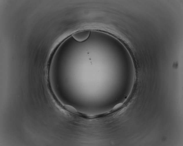 X0000091671517200708231317